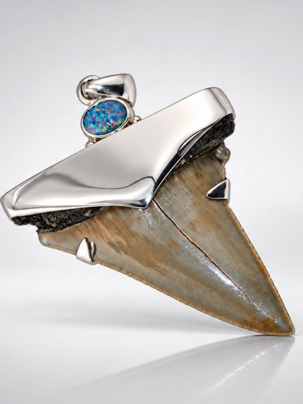 Fossil Shark’s Tooth Pendant – Palaeocarcharodon orientalis, with 925 Silver Cap